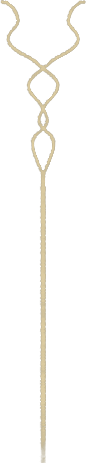 petal1